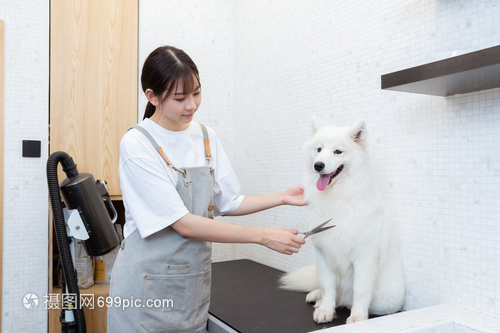 imToken钱包苹果版